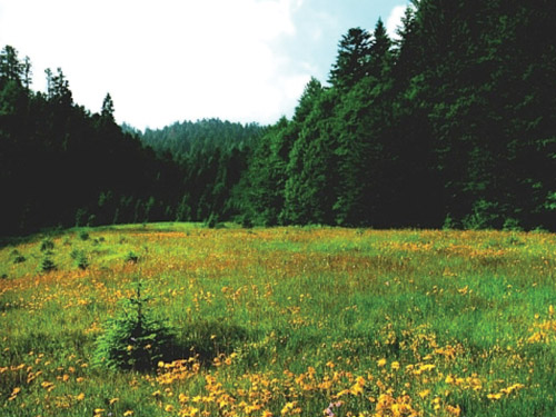 Parc national Risnjak